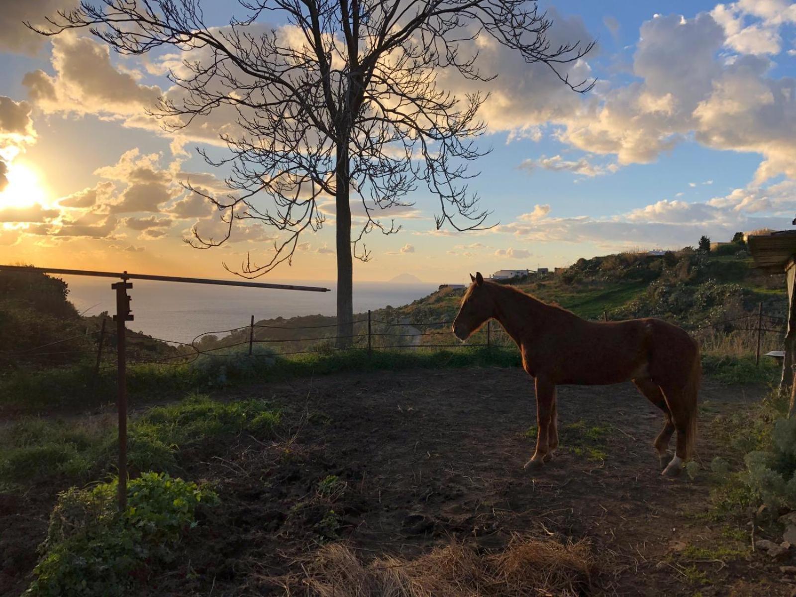 ליפארי Agriturismo U Zu Peppino מראה חיצוני תמונה