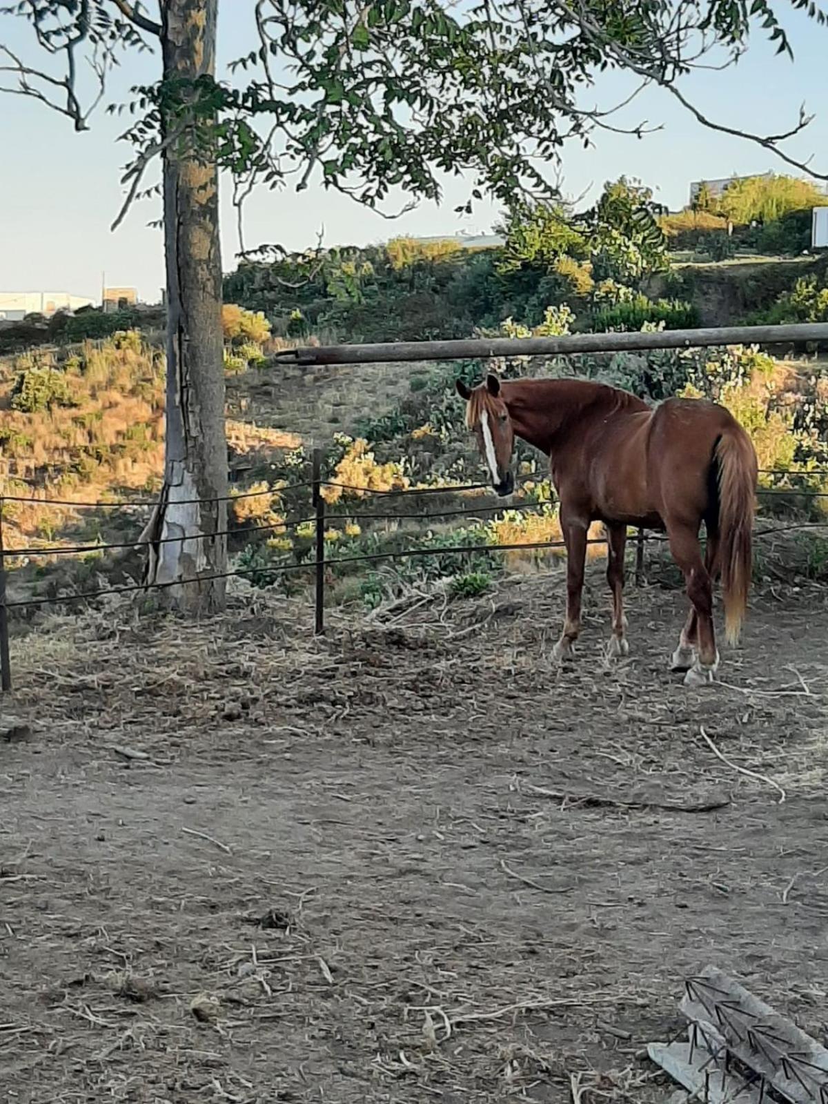 ליפארי Agriturismo U Zu Peppino מראה חיצוני תמונה