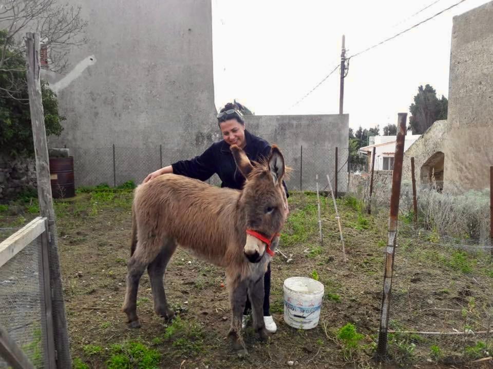 ליפארי Agriturismo U Zu Peppino מראה חיצוני תמונה