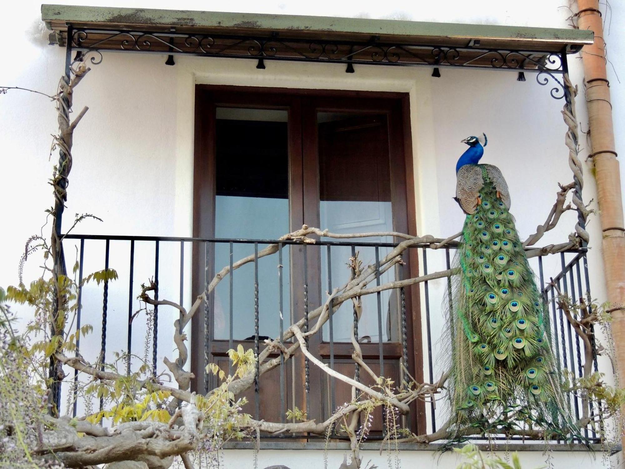 ליפארי Agriturismo U Zu Peppino מראה חיצוני תמונה