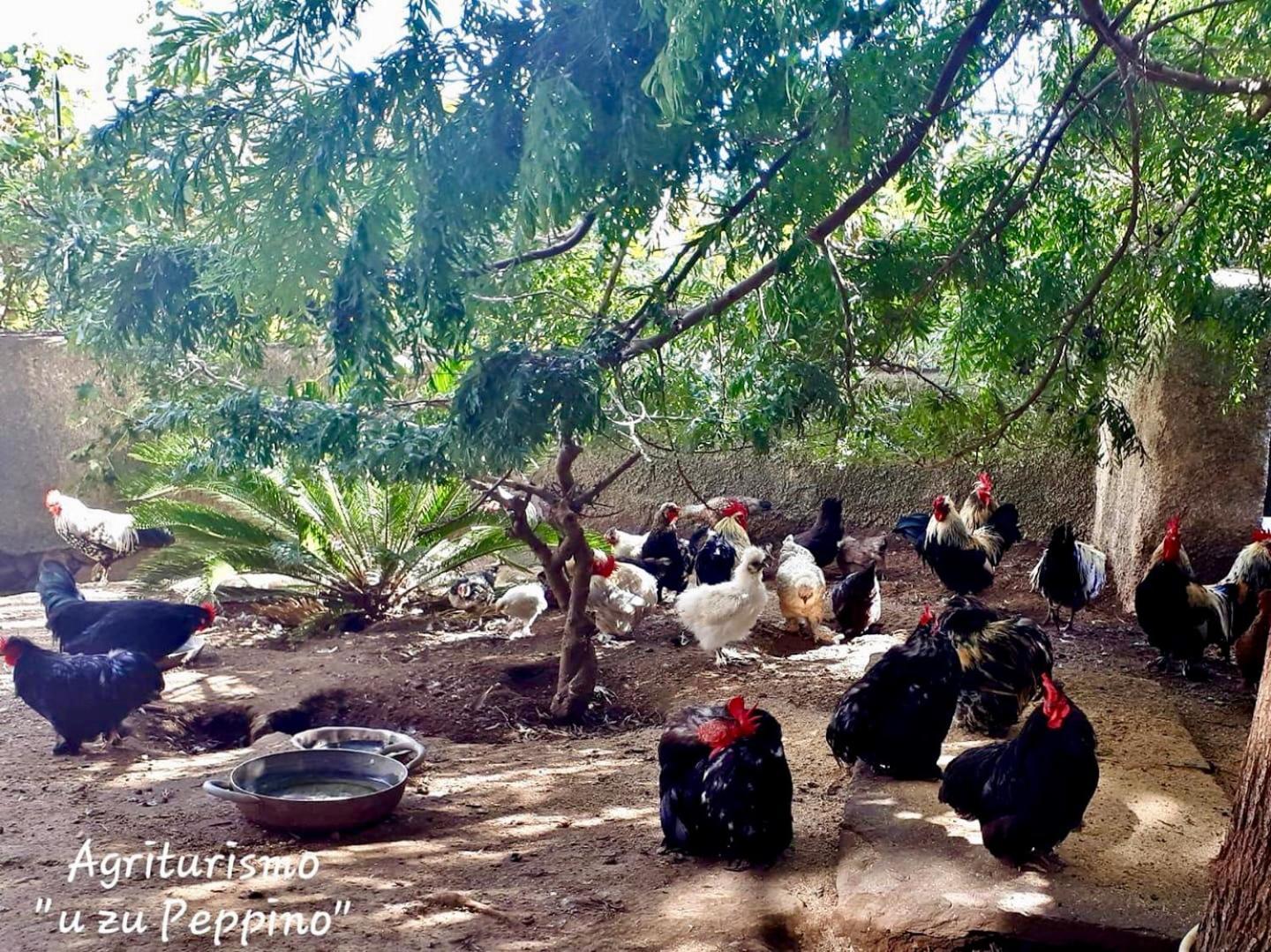 ליפארי Agriturismo U Zu Peppino מראה חיצוני תמונה