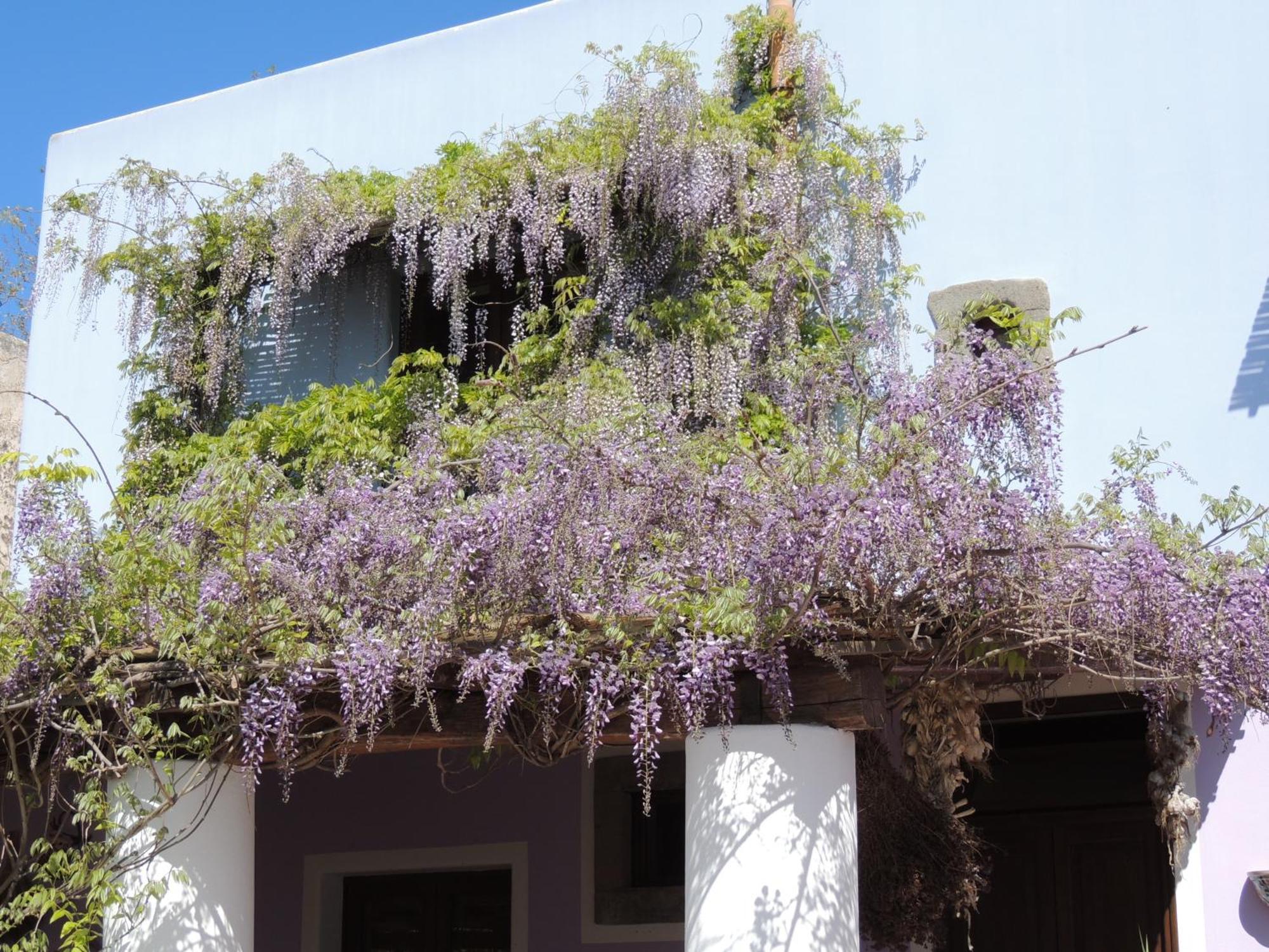 ליפארי Agriturismo U Zu Peppino מראה חיצוני תמונה